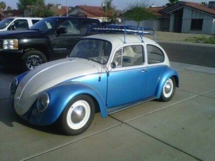 1965 Volkswagen Beetle Classics for Sale - Classics on Autotrader