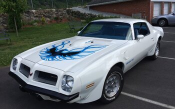 Pontiac Trans Am Classics for Sale - Classics on Autotrader