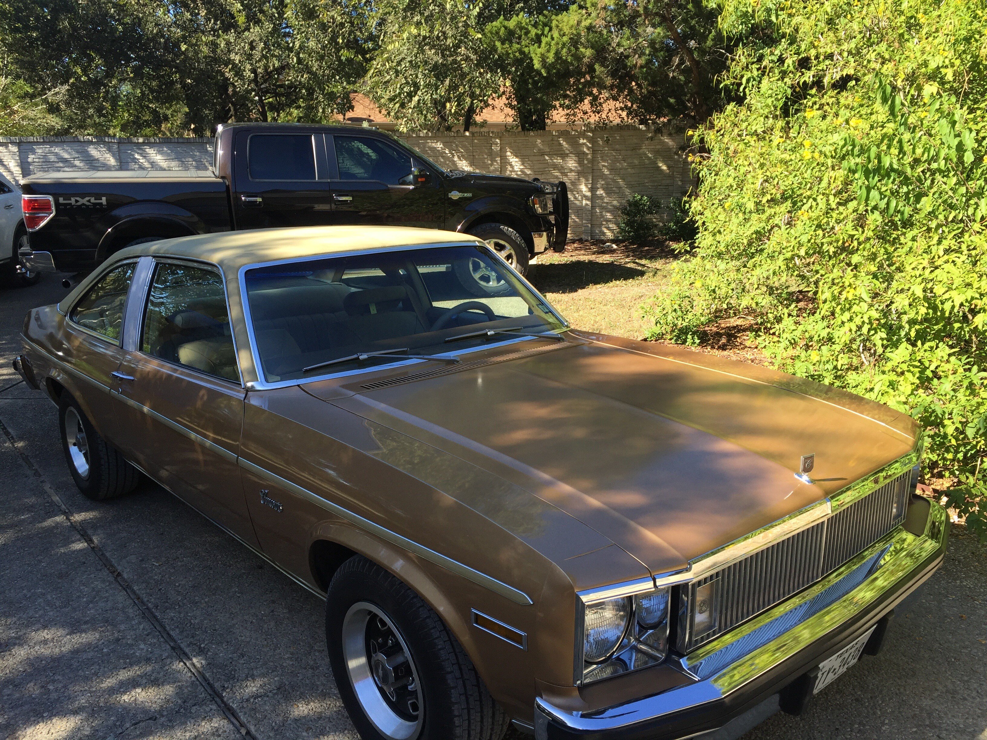 77 chevy nova for sale