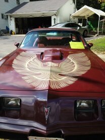 1981 Pontiac Firebird Classics for Sale - Classics on Autotrader