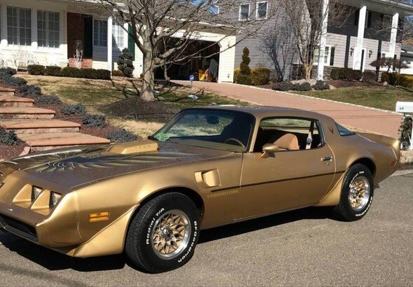 1981 pontiac firebird 1981 pontiac firebird