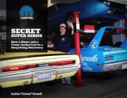 Secret Superbirds